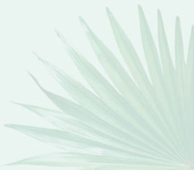 المكمل الغذائي بروستامول يساعد على تعزيز وظائف البروستات والمسالك البولية.